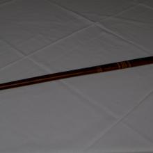 Bratislava cane