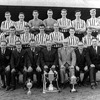 The Stein Era